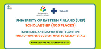 University of Eastern Finland (UEF) Scholarship