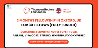 Reuters Institute Fellowship 2025