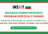 INSAIT Summer Research Fellowship 2025
