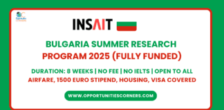 INSAIT Summer Research Fellowship 2025