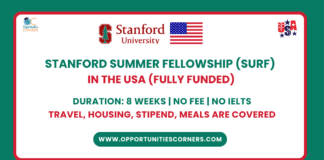 Stanford University Summer Fellowship 2025