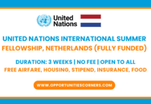 United Nations International LAW Fellowship 2026