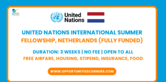 United Nations International LAW Fellowship 2025