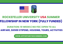 Rockefeller University USA Summer Fellowship 2026 (Fully Funded) Rockefeller University USA Summer Fellowship