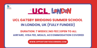 UCL Gatsby Bridging Summer School 2025