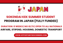 Sokendai KEK Summer Student Program 2026