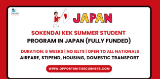 Sokendai KEK Summer Student Program 2025