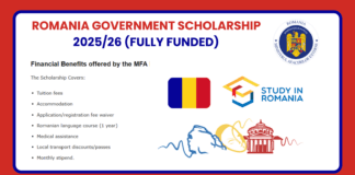 ROMANIA Government Scholarship 2025
