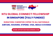 NTU Global Connect Fellowship 2026