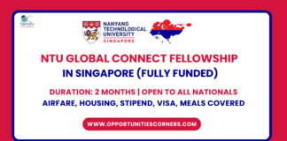 NTU Global Connect Fellowship 2026