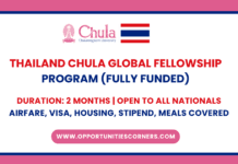 Thailand Chula Global Visiting Fellowship