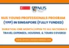NUS Young Professionals Program (YPP) 2025