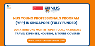 NUS Young Professionals Program (YPP) 2025