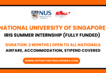 NUS Singapore IRIS Internship 2026