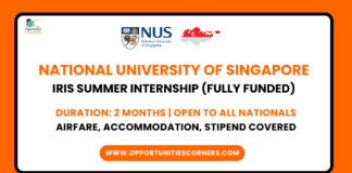 NUS Singapore IRIS Internship 2025