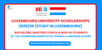 Luxembourg University Scholarships