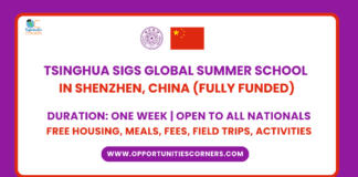 Tsinghua SIGS Global Summer School 2025