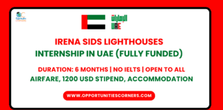 IRENA SIDS Lighthouses Internship