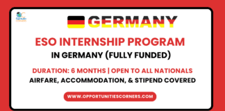 ESO Internship Program 2025