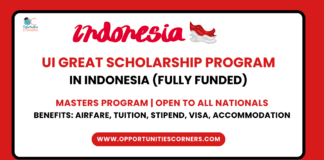 UI GREAT Scholarship 2025