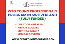 WTO Young Professionals Program 2027