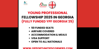 Young Professional Fellowship 2025 in Georgia