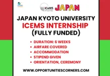 Kyoto University iCeMS Internship 2026 in Japan