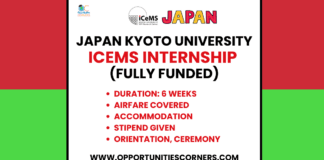 Kyoto University iCeMS Internship 2025