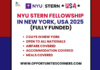 NYU Stern Fellowship 2025