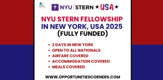 NYU Stern Fellowship 2025