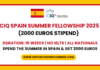 ICIQ Spain Summer Fellowship 2025