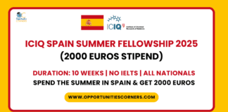 ICIQ Spain Summer Fellowship 2025
