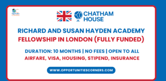 Richard and Susan Hayden Academy Fellowship 2025