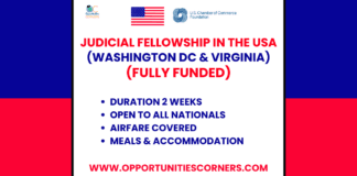 2025 Judicial Fellowship Program