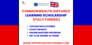 Commonwealth Distance Learning Scholarship