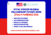 Vital Voices Global Fellowship (VVGF) 2025