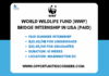 World Wildlife Fund (WWF) BRIDGE Internship 2025 in USA