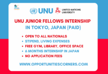 UNU Junior Fellows Internship 2026 in Tokyo, Japan (PAID) UNU Junior Fellows Internship 2026