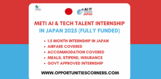 METI AI and Tech Talent Internship in Japan