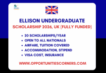Ellison Undergraduate Scholars Program 2026