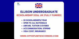 Ellison Undergraduate Scholars Program 2026