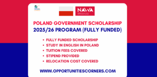 Poland Government Stefan Banach Scholarship 2025