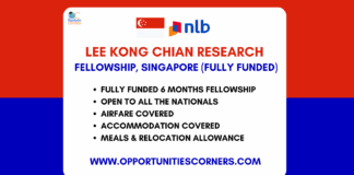 Lee Kong Chian Research Fellowship 2025