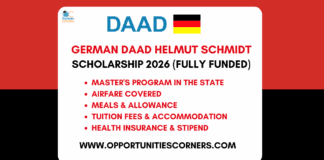 German DAAD Helmut Schmidt Scholarship 2026