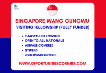 Wang Gungwu Fellowship 2027