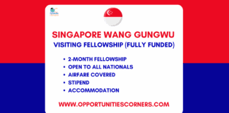 Wang Gungwu Visiting Fellowship 2026