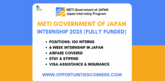 METI Government of Japan Internship 2025