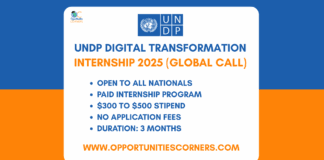 UNDP Digital Transformation Internship 2025