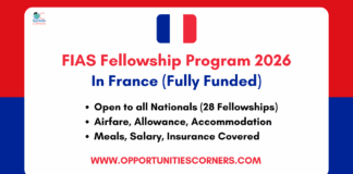 FIAS Fellowship Program