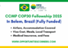 CCMP COP30 Reporting Fellowship 2025 in Brazil